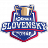 Кубок Словакии