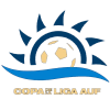 Copa de la Liga AUF